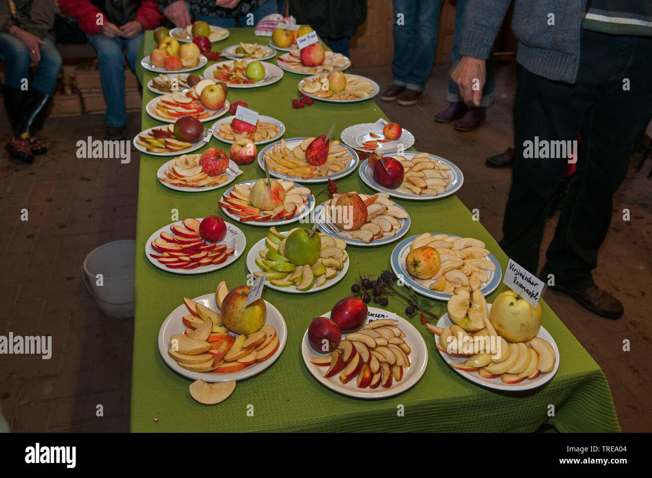 Verschiedene Apfelsorten vorgestellt, Deutschland, Schleswig-Holstein Stockfoto