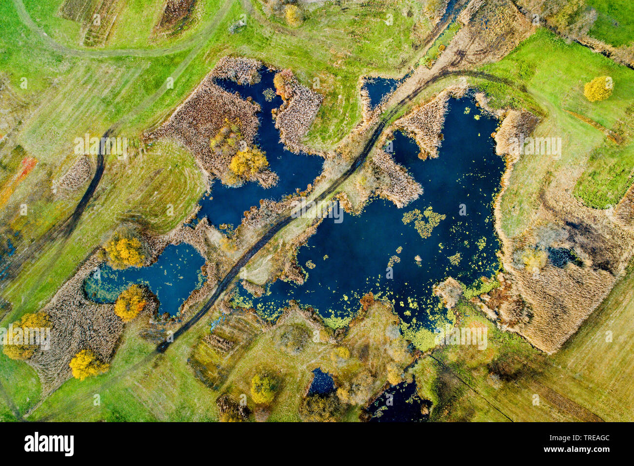 See im Zürcher Oberland, drone Foto, Schweiz Stockfoto