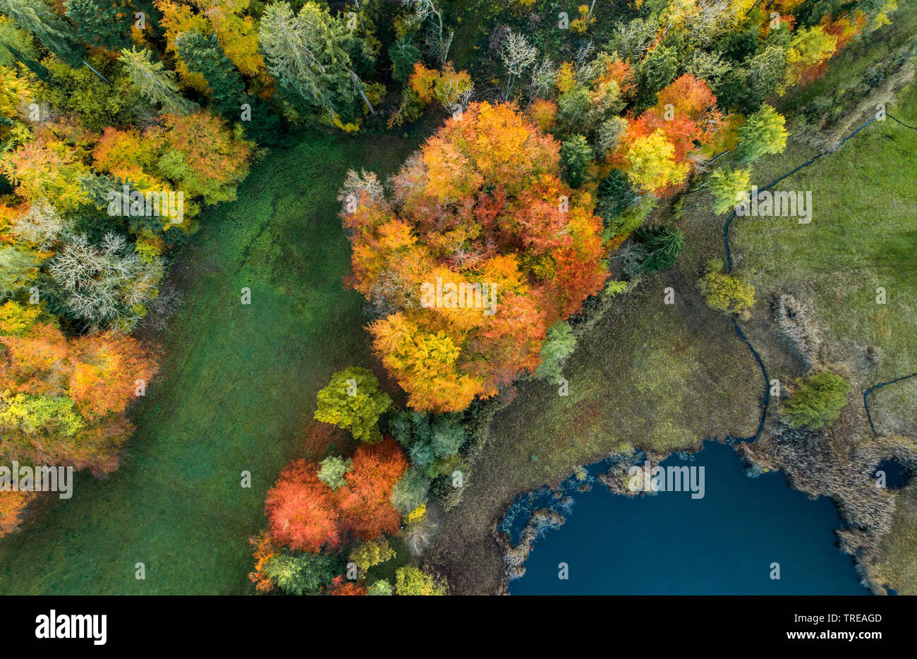 See im Zürcher Oberland, drone Foto, Schweiz Stockfoto