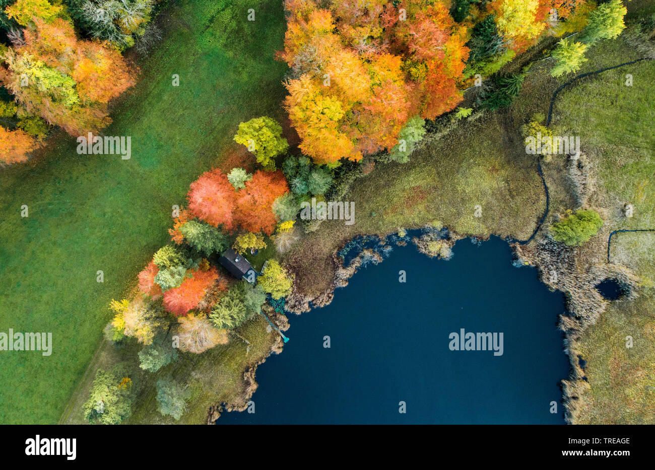 See im Zürcher Oberland, drone Foto, Schweiz Stockfoto