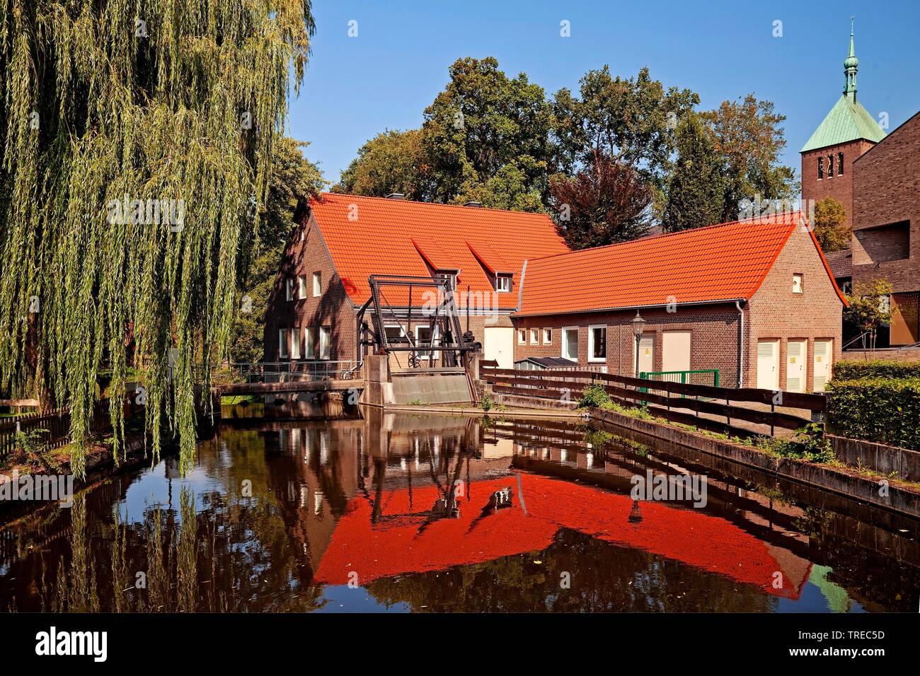 Park und Watergate von Berkel und St. Georg Kirche, Deutschland, Nordrhein-Westfalen, Münsterland, Vreden Stockfoto