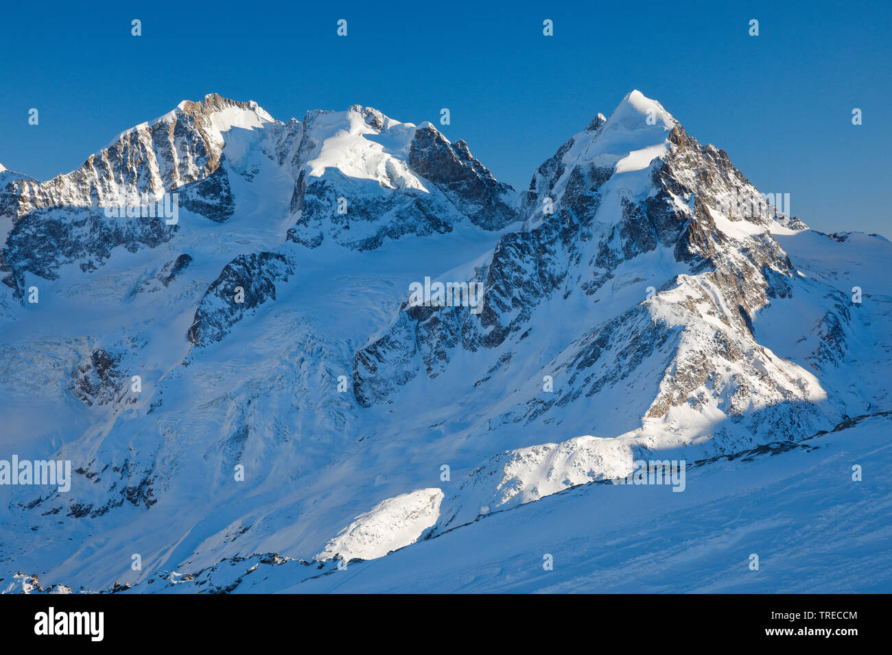 Mit Biancograt Piz Bernina, Piz Scerscen-4049 m - 3971 m, Piz Roseg-3937 m, Schweiz, Graubünden, Oberengadin Stockfoto