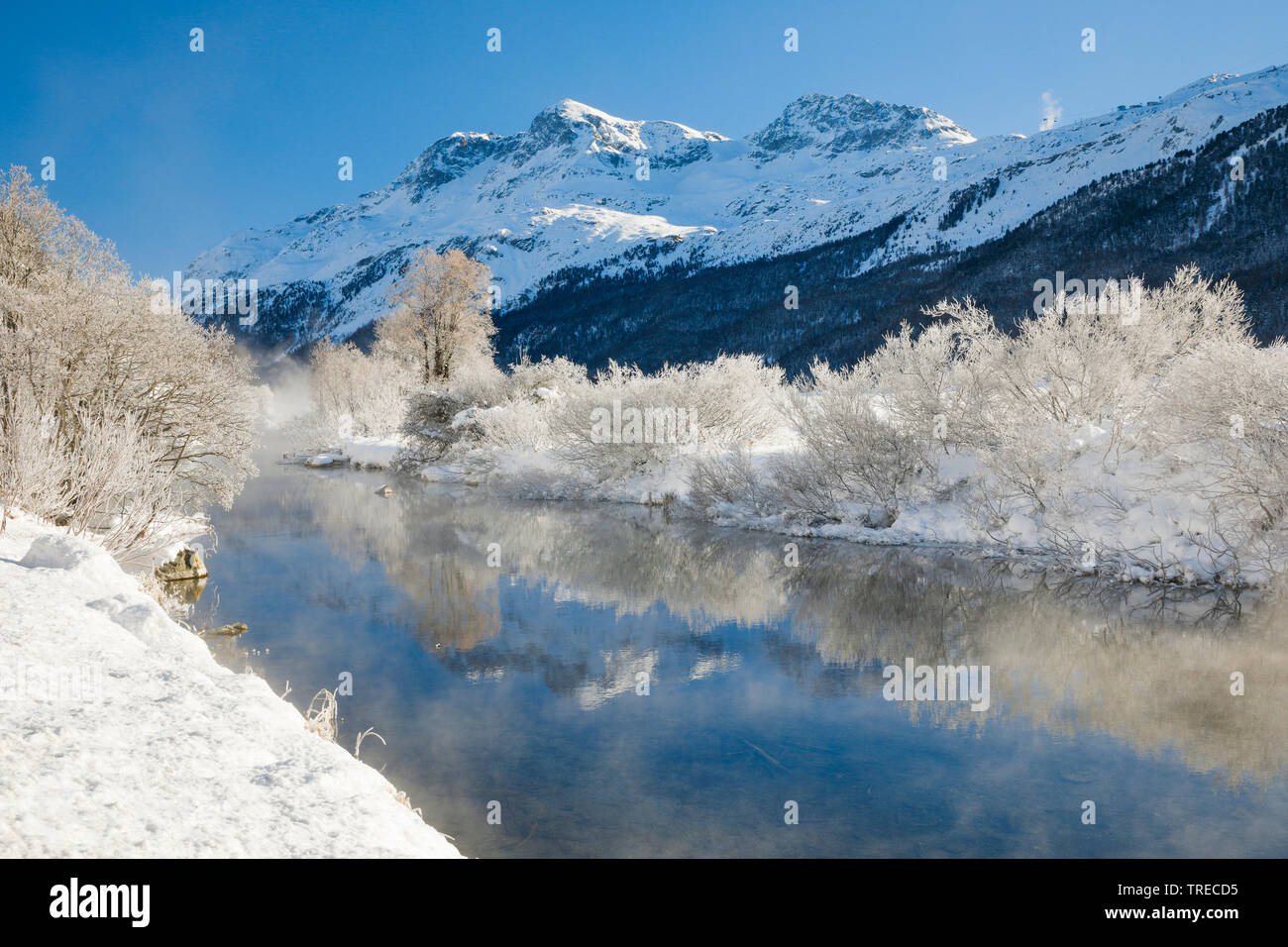 River Inn mit Piz Rosatsch, Piz Surlej und Munt Arlas im Hintergrund, in der Schweiz, Graubünden, Oberengadin Stockfoto