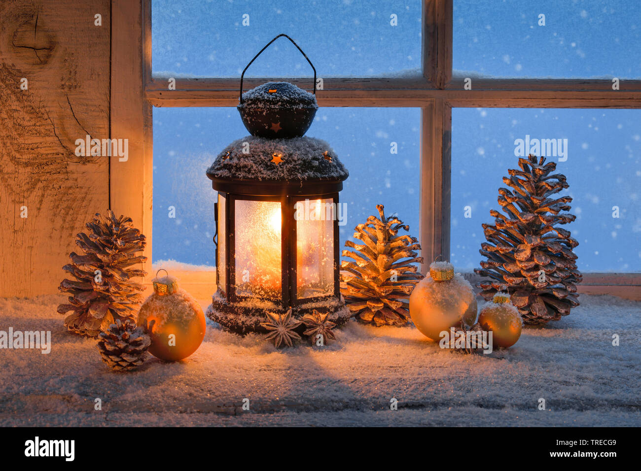 Laterne mit Weihnachten Dekoration auf einem Felsvorsprung, Schweiz Stockfoto