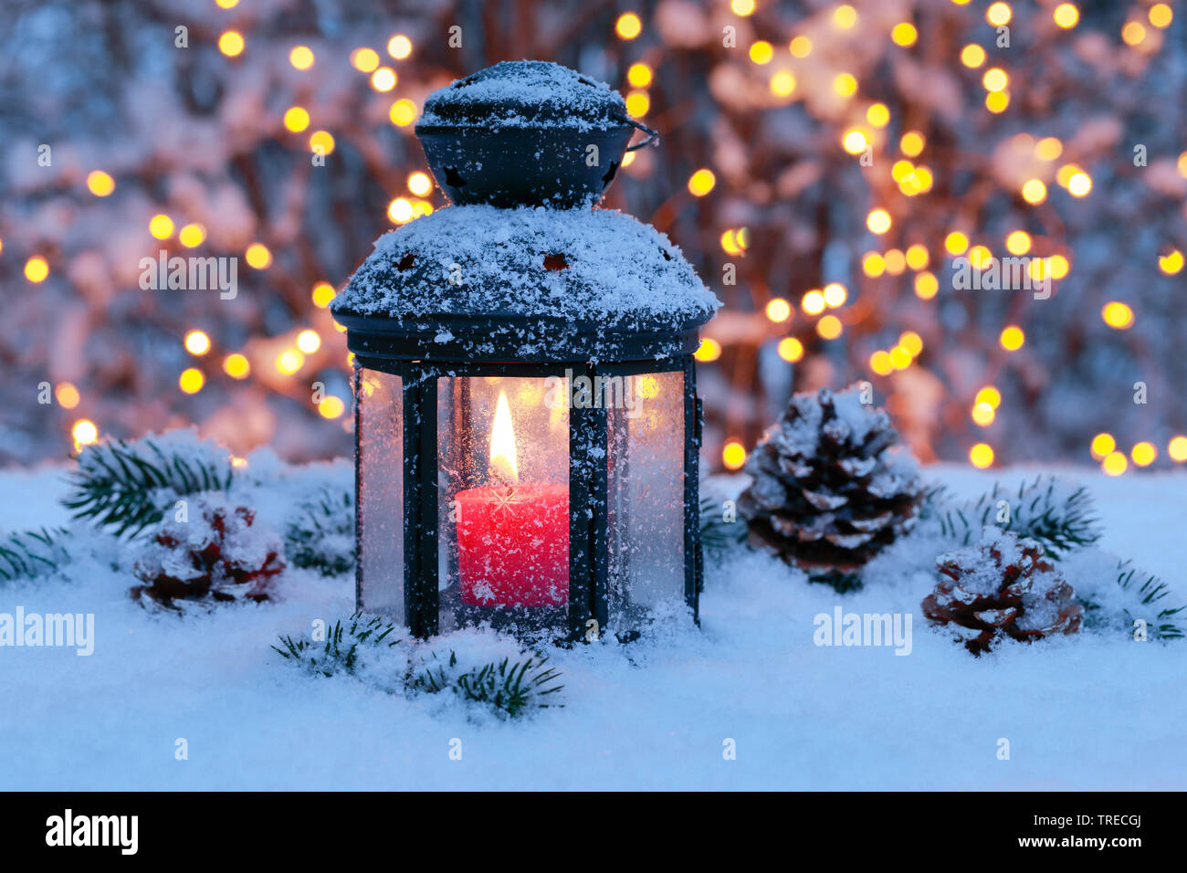 Laterne mit Weihnachtsbeleuchtung außerhalb, Schweiz Stockfoto