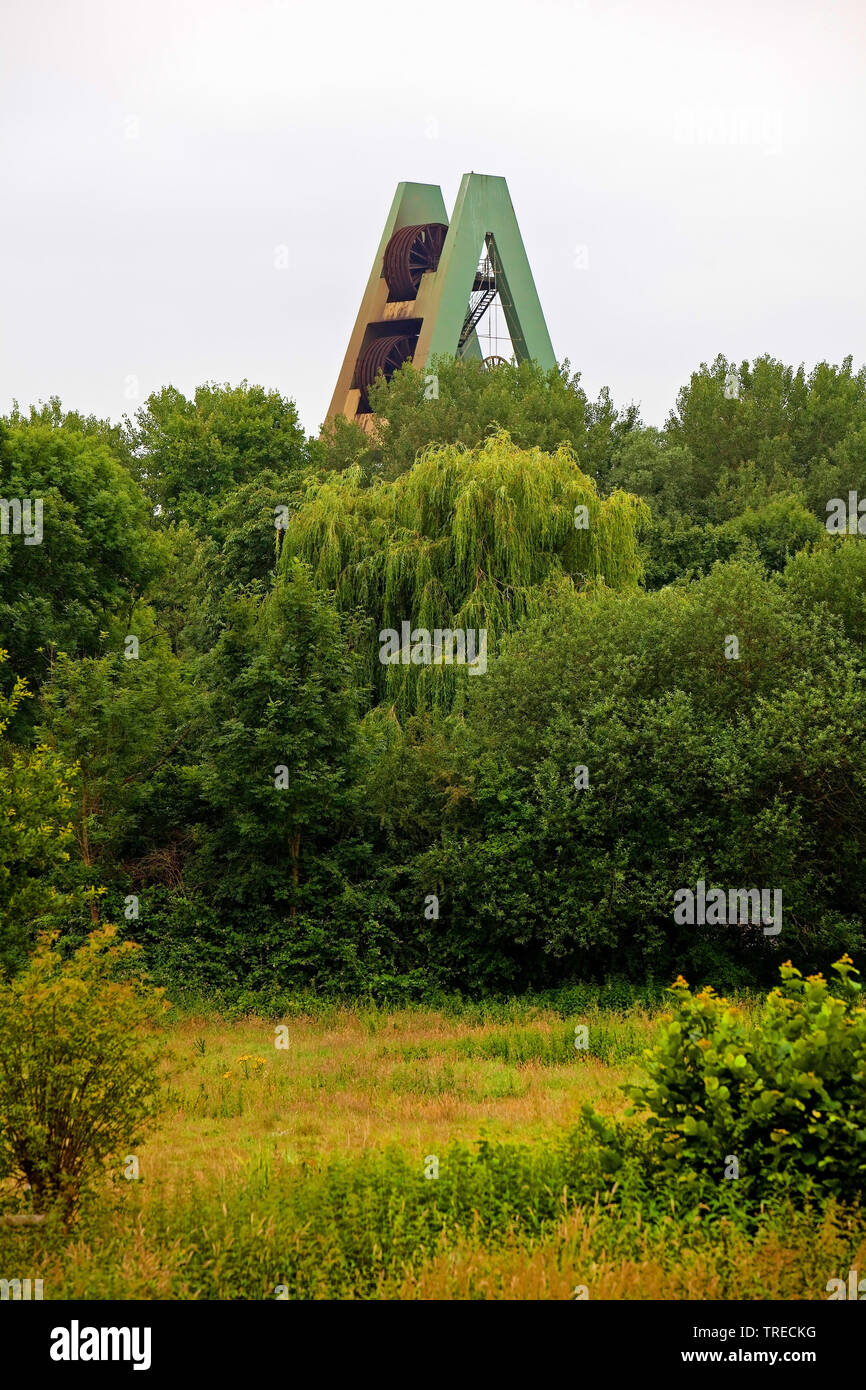 Förderturm von Schacht 8 der Zeche Auguste Victoria in Lippramsdorf, Deutschland, Nordrhein-Westfalen, Haltern am See Stockfoto