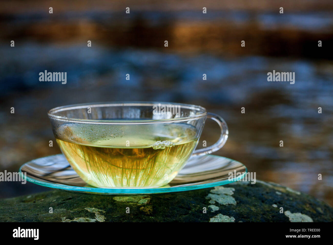 Tee aus frischen Blättern der Brennnessel, Vogelmiere und goosegrass gemacht, Deutschland Stockfoto