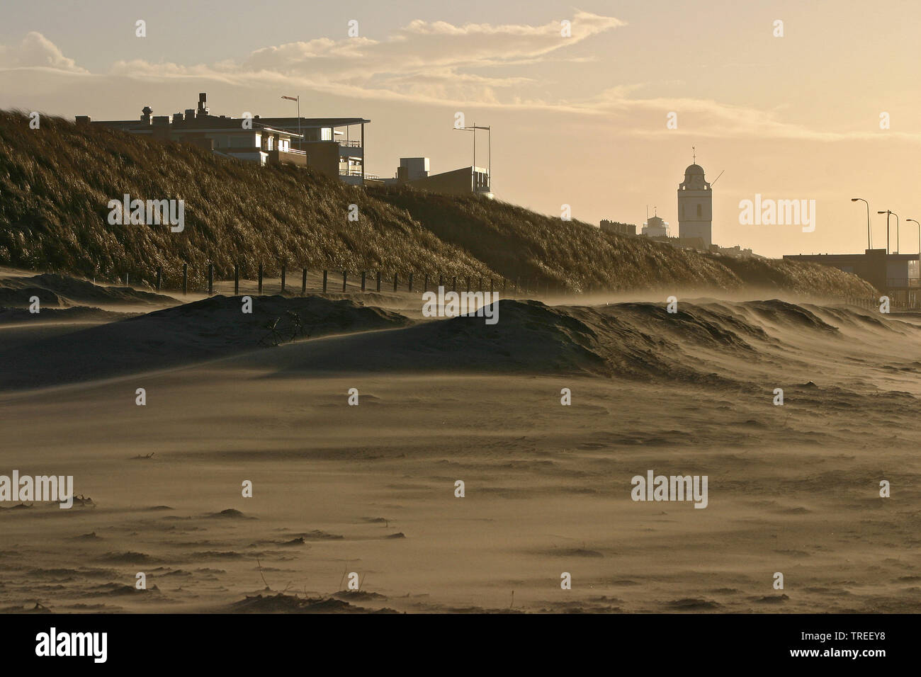 Blick von der Nordsee strand zum Turm der weißen Kirche in Katwijk, St. Andreas Kirche, hinter den Dünen, Niederlande, Katwijk Stockfoto