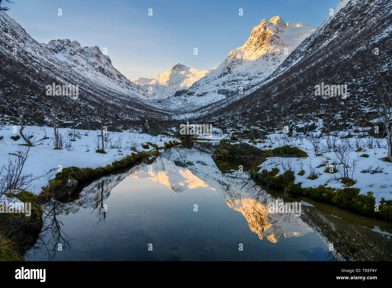 Norwegische Berge spiegeln in einem Bach, Norwegen Stockfoto