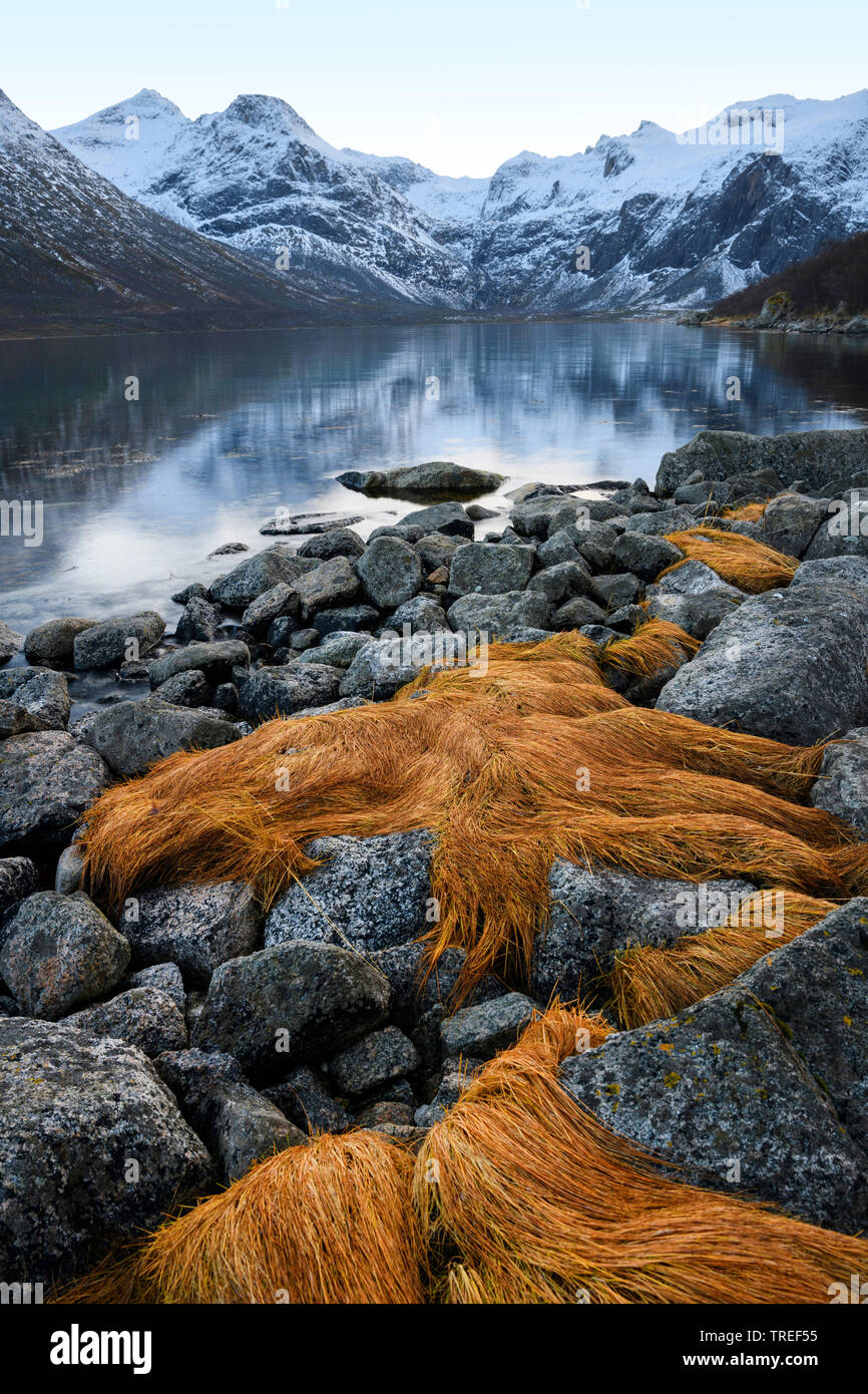 Norwegische Fjordlandschaft, Norwegen Stockfoto