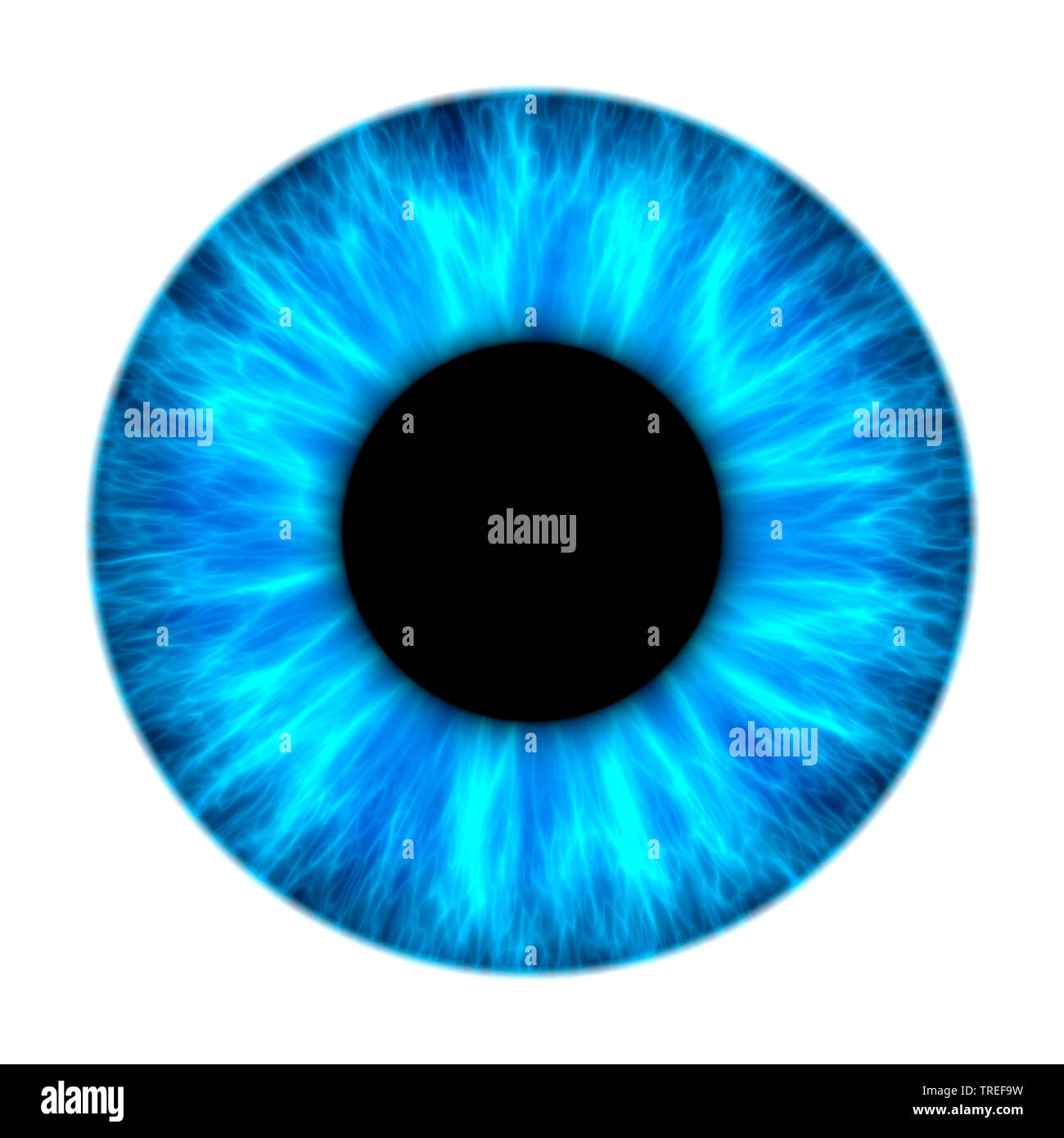 Computer Grafik, Blue Iris vor weißem Hintergrund Stockfoto