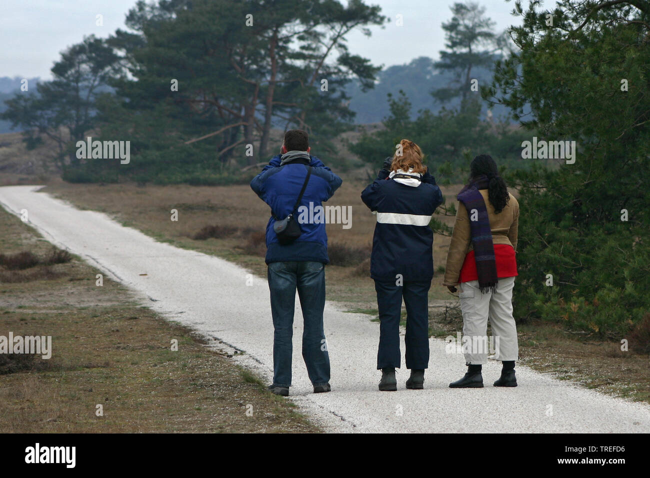 Die Besucher des Nationalpark Hoge Veluwe, Niederlande, Gelderland, Nationalpark Hoge Veluwe Stockfoto