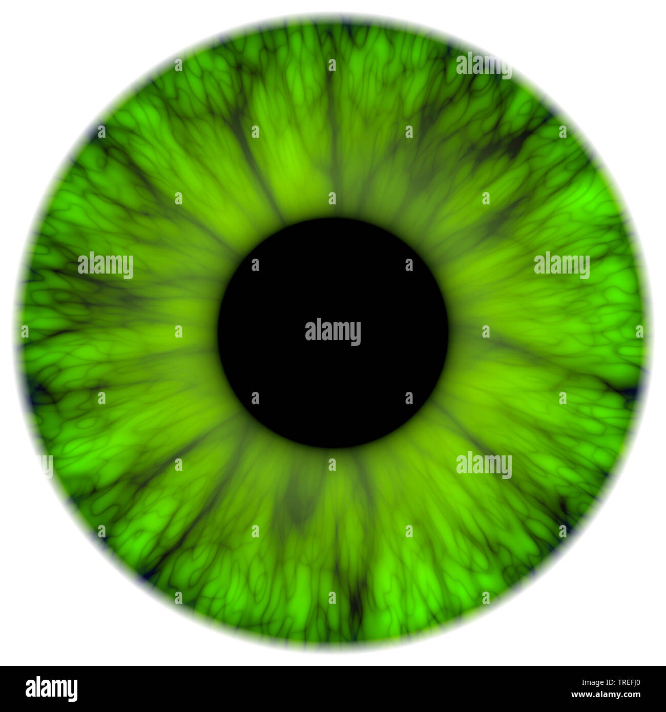 Computer Graphics, grün Iris vor weißem Hintergrund Stockfoto