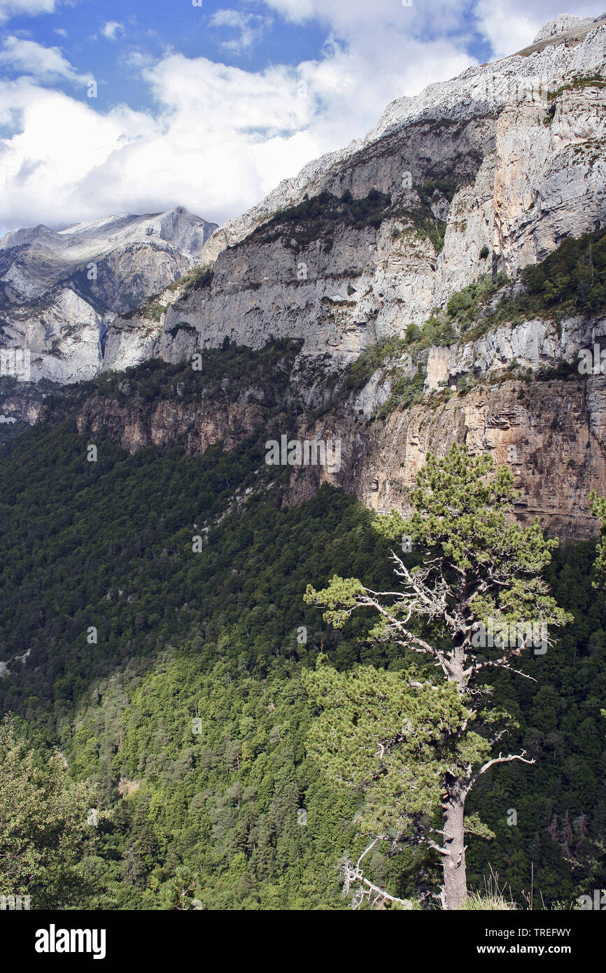 Spanischen Pyrenäen an Hecho, Spanien, Pyrenäen, Hecho Stockfoto