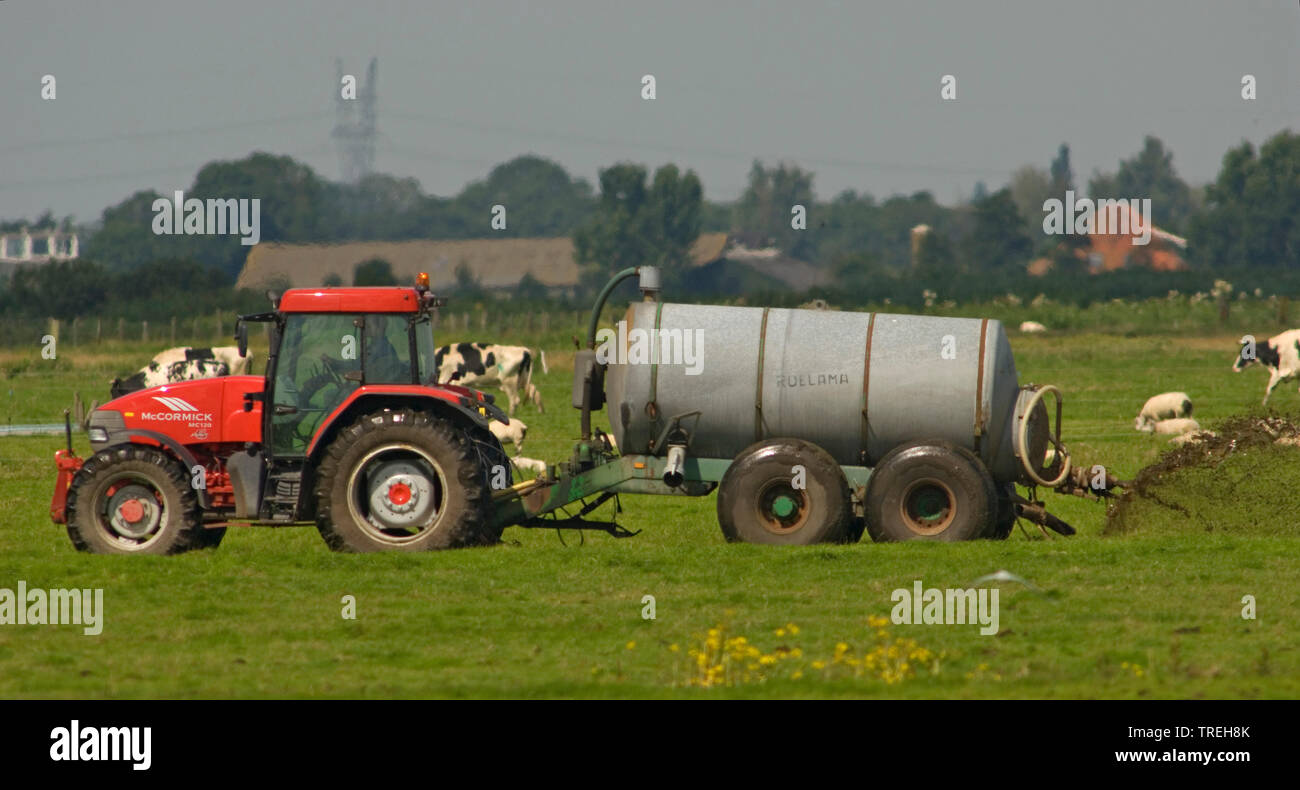 Landwirt düngen Grünland, Niederlande Stockfoto