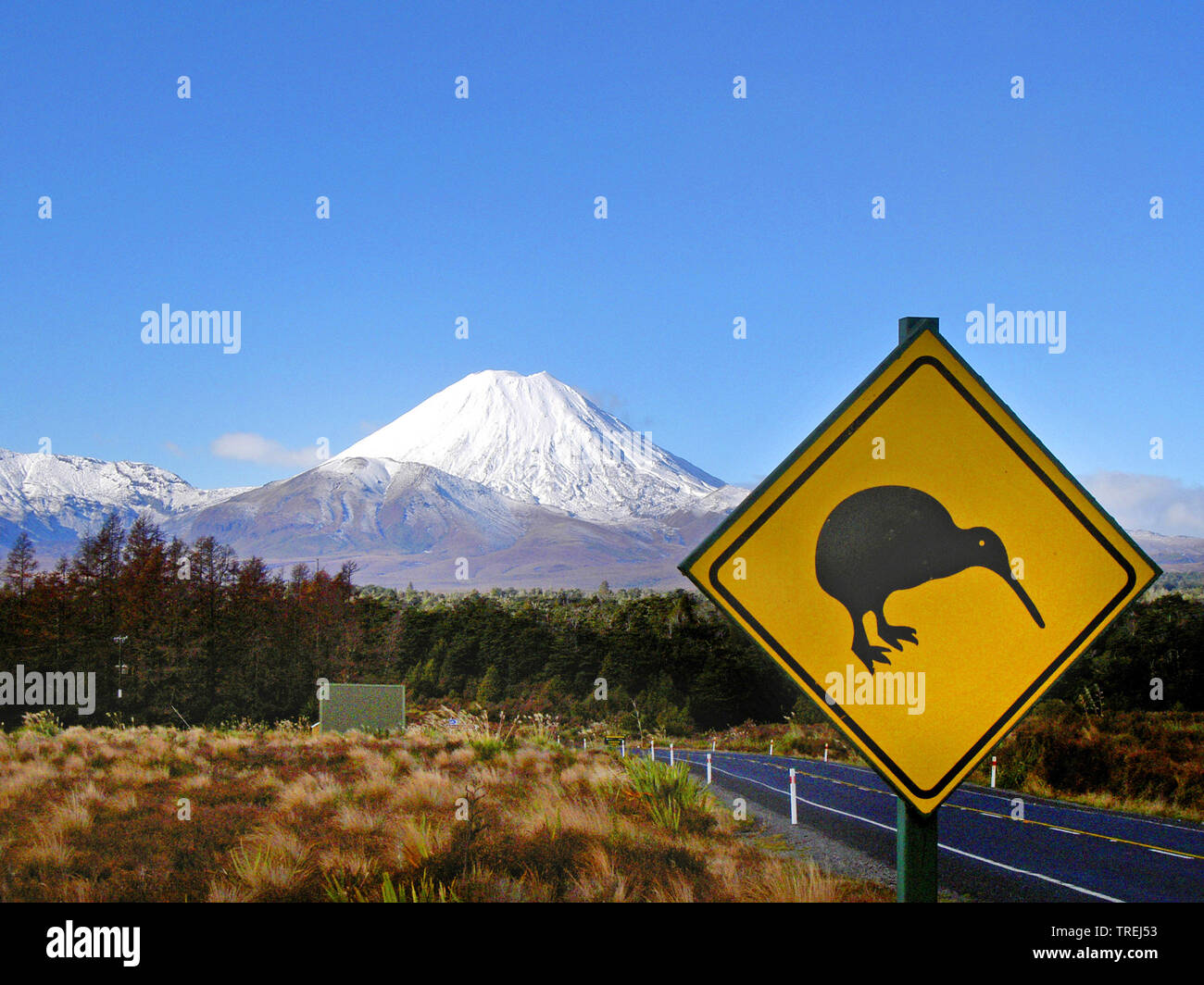 Warnzeichen, Kiwi in Neuseeland, Neuseeland, Nordinsel Stockfoto