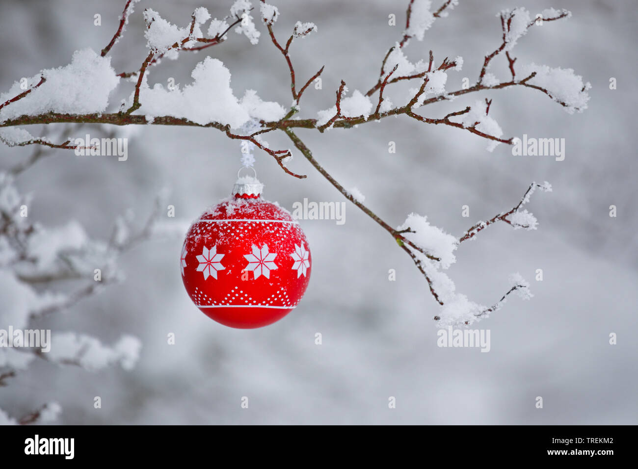 Christmas Ball an einem verschneiten Zweig, Schweiz Stockfoto