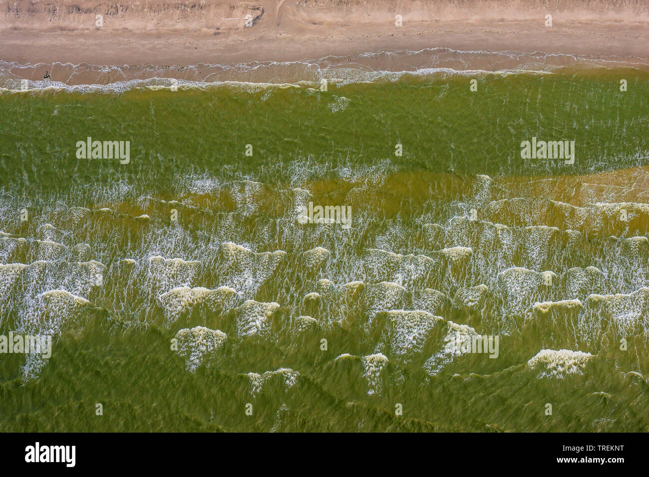 Antenne des schleswig-holsteinischen Wattenmeeres, Deutschland, Schleswig-Holstein, schleswig-holsteinischen Nationalpark Wattenmeer Stockfoto
