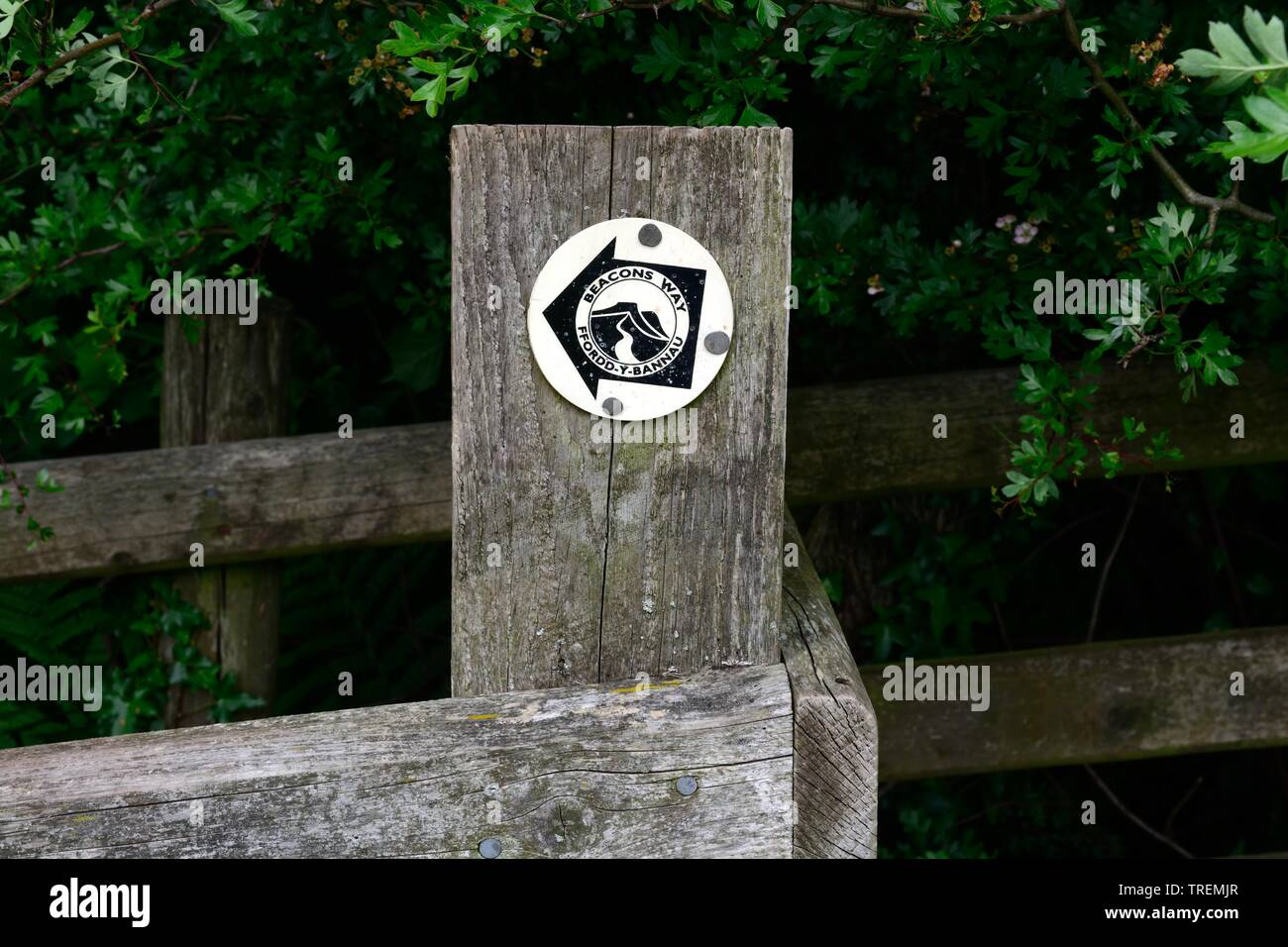 Beacons Weise zweisprachig Englisch Walisisch Fußweg Zeichen auf eine alte hölzerne Tor Ffordd y Bannau Wales Cymru GROSSBRITANNIEN Stockfoto