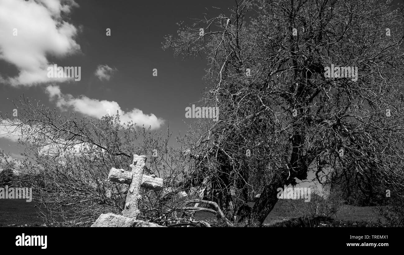 Alten Friedhof, Plateau du Retord, Bugey, Ain, Frankreich Stockfoto