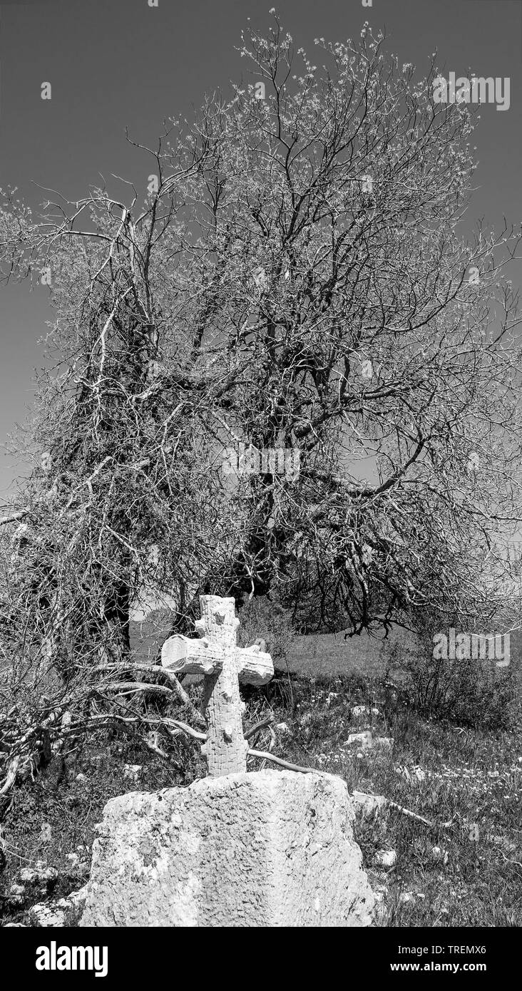 Alten Friedhof, Plateau du Retord, Bugey, Ain, Frankreich Stockfoto