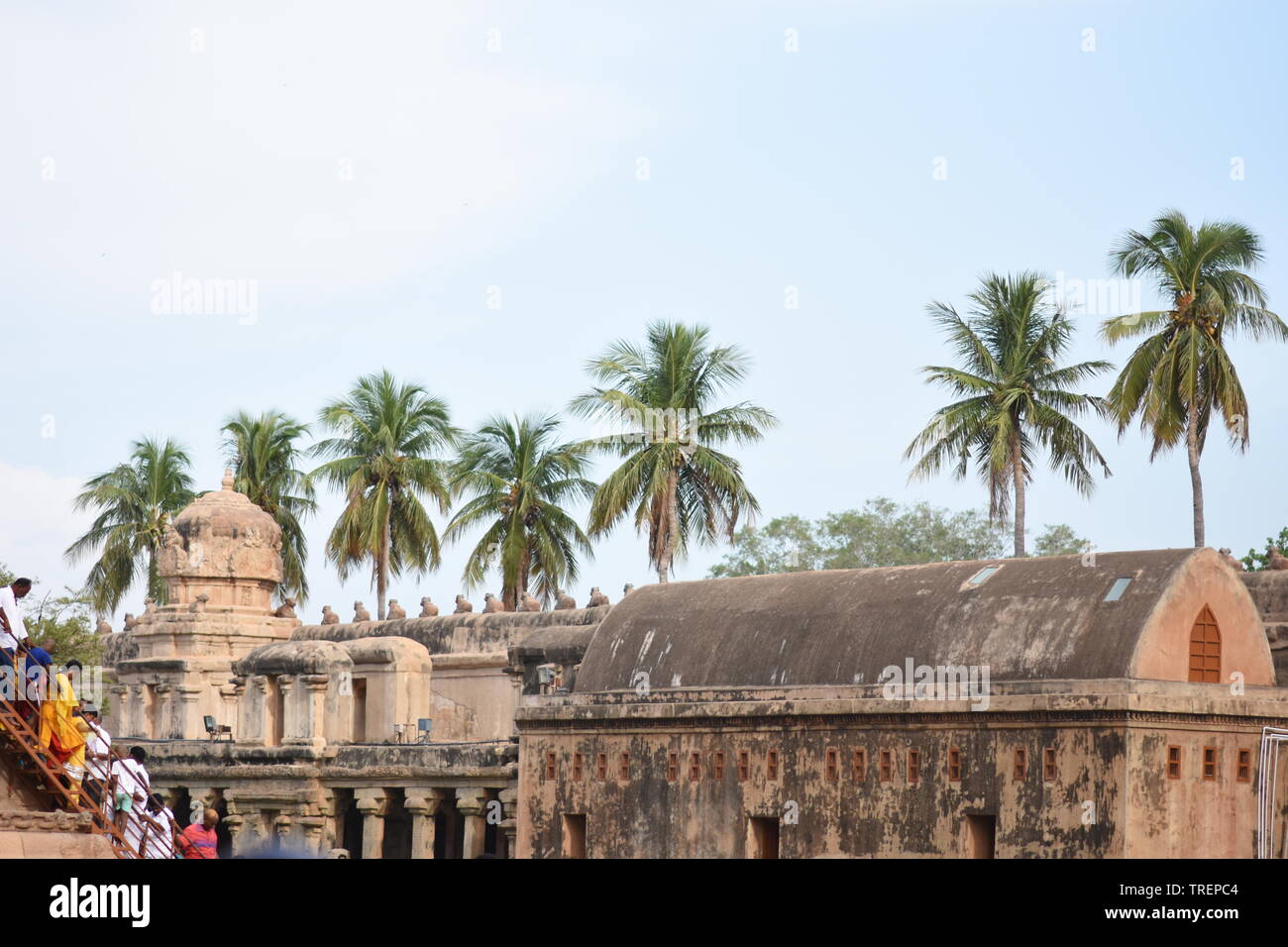 Südindische Tempel Stockfoto