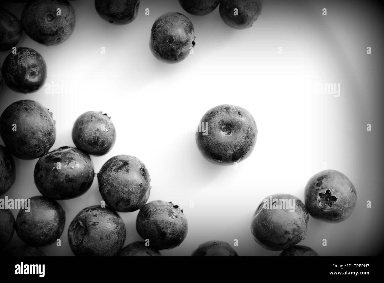 Frische Heidelbeeren auf einem weißen Teller hautnah. Ansicht von oben schwarz und weiß Stockfoto