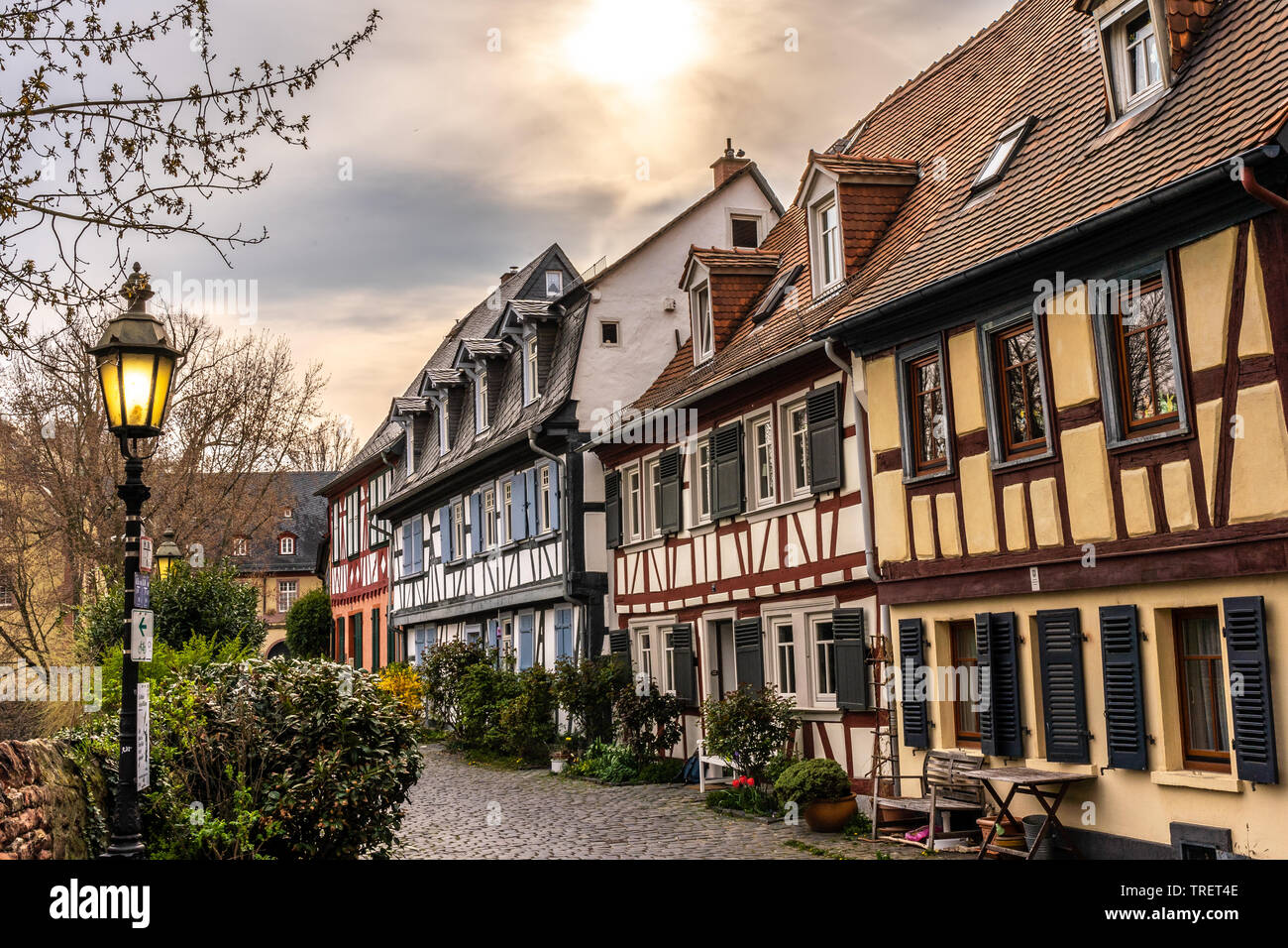 Mittelalterliche Straßen- und Fachwerk Gebäude in Hoechst, Frankfurt, Deutschland Stockfoto