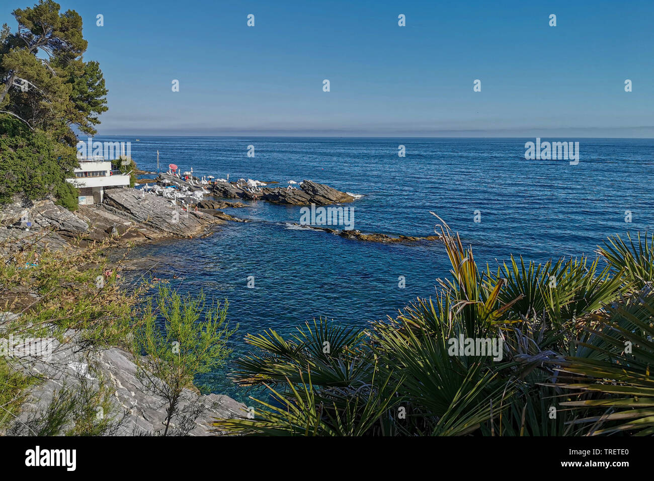 Italien Genova Nervi zu Fuß zum Meer Stockfoto