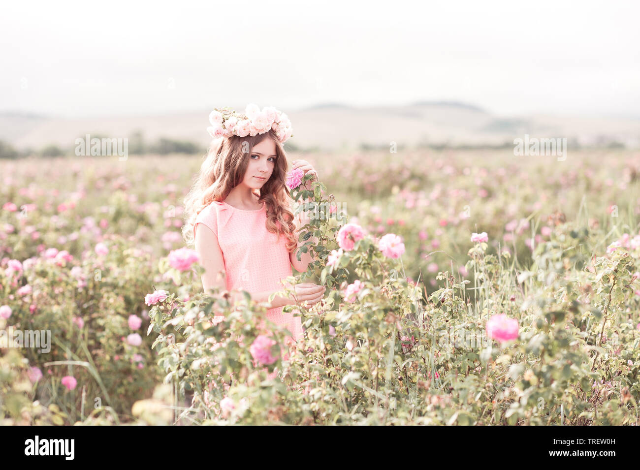 Schöne jugendlich Mädchen 14-16 Jahre alten posiert in Rose Feld. Tragen Kranz mit Blumen. Teenager Haube. Stockfoto