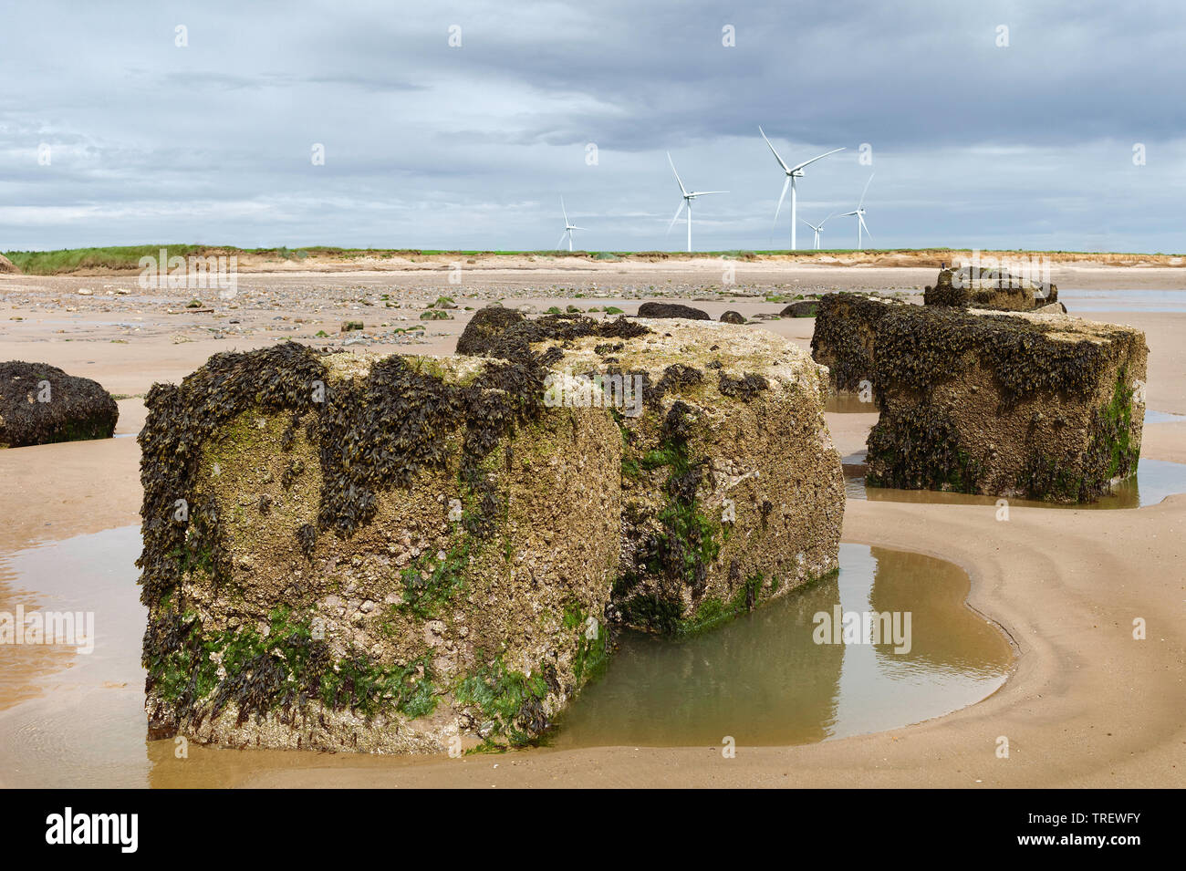 Konkrete Felsbrocken und moderne Windkraftanlagen auf und neben bzw. Sandstrand am hellen Morgen, Fraisthorpe, Yorkshire, Großbritannien. Stockfoto