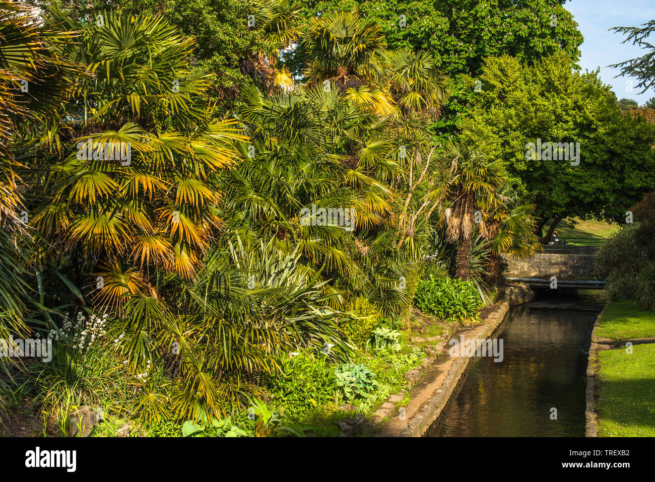 Die untere Gärten, die zu der Küste in Bournemouth in Dorset, England, UK. Stockfoto