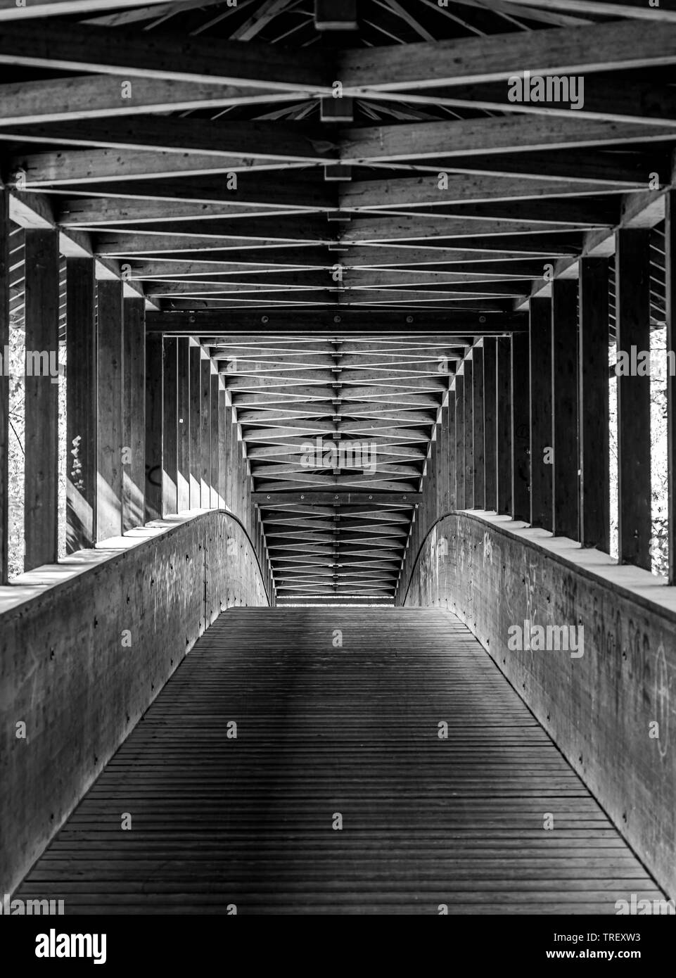 Blick über eine hölzerne Brücke in Frankfurt Süd Stadt Wald, Hessen, Deutschland Stockfoto