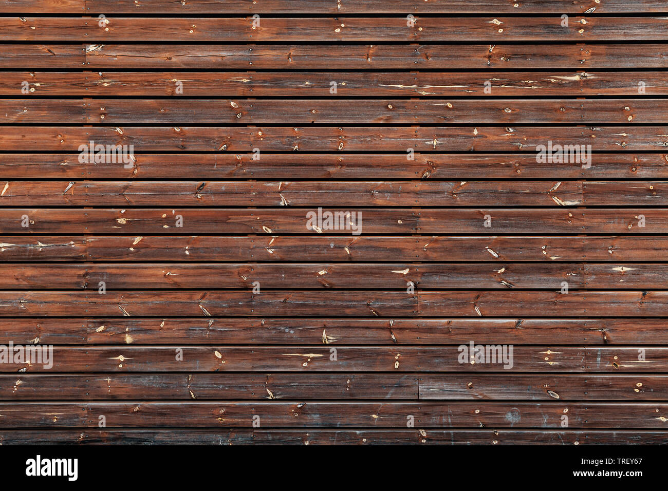 Raue Holzwand Hintergrund Foto Textur, braun Wand aus verknoteten Pine Tree Planken Stockfoto