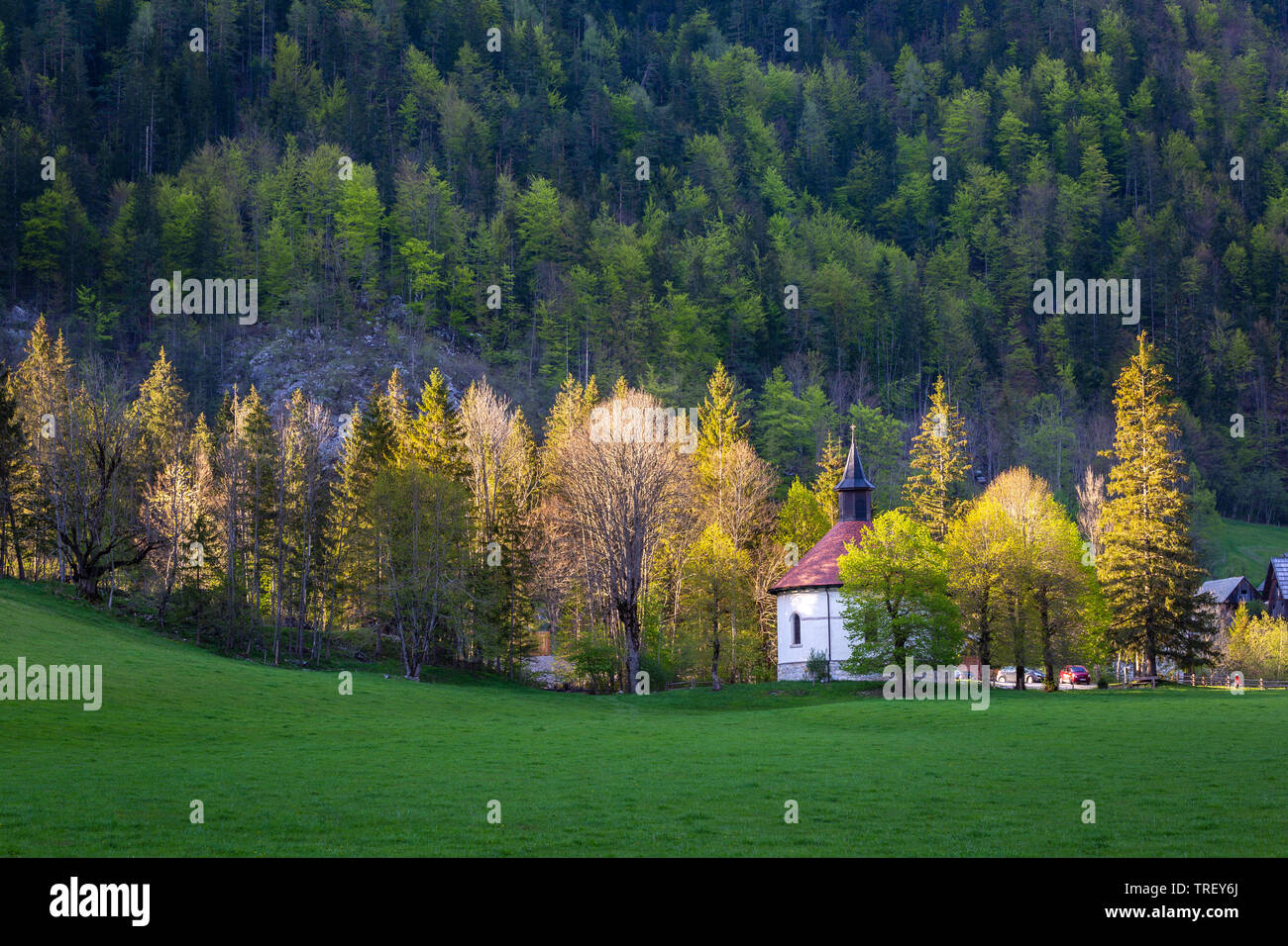 Rotunde in Logarska Dolina, Slowenien während des Sonnenuntergangs. Weiße Kapelle mit rotem Dach bleiben in Bäume durch warmen, späten Sonnenlicht beleuchtet. Feder, ruhige Szene Stockfoto