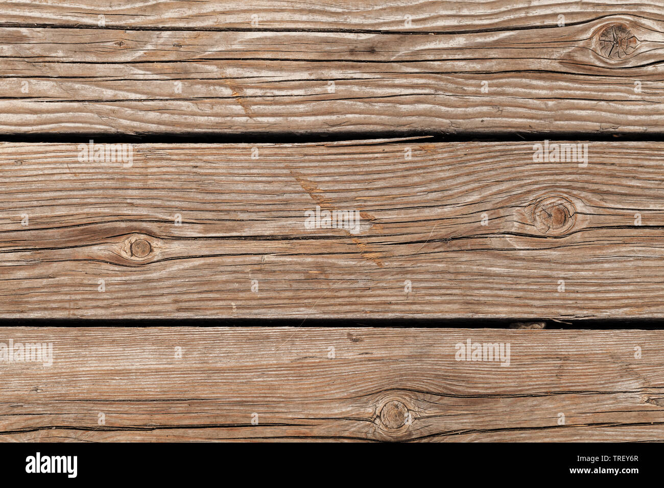 Raue Holzwand Hintergrund Textur, Nahaufnahme Foto von farblosen Eiche Schnittholz Stockfoto