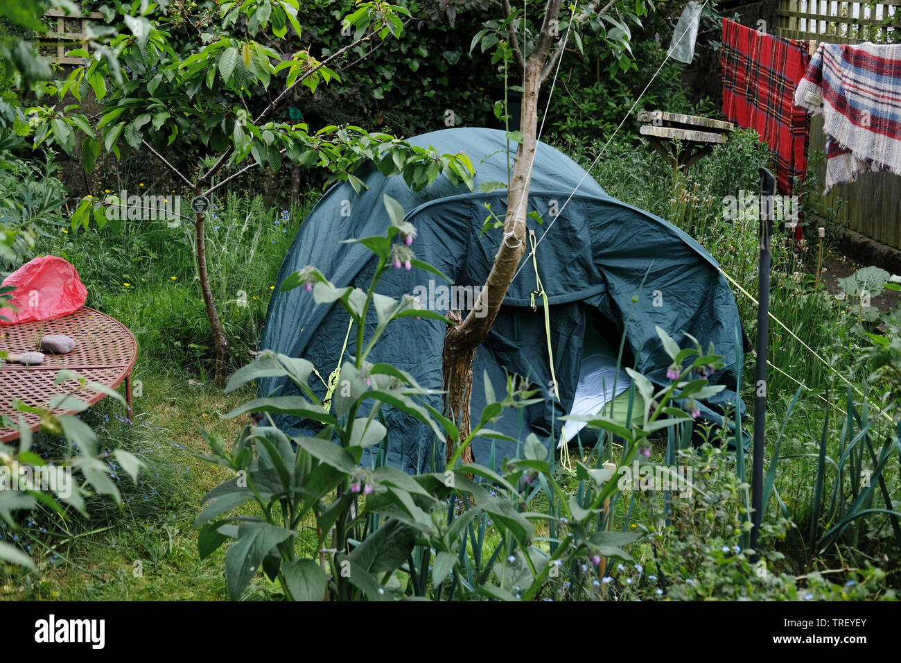 Ein Zelt in einen sehr kleinen Garten. Stockfoto