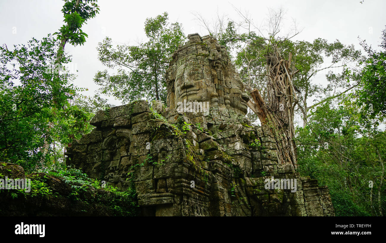 Historische Buddha Kopf und Gesicht geschossen von niedrigen Winkel mit dem Dschungel rund um die antike Statue in einem der zerstörten Tempeln in Angkor Thom. (Kambodscha) Stockfoto