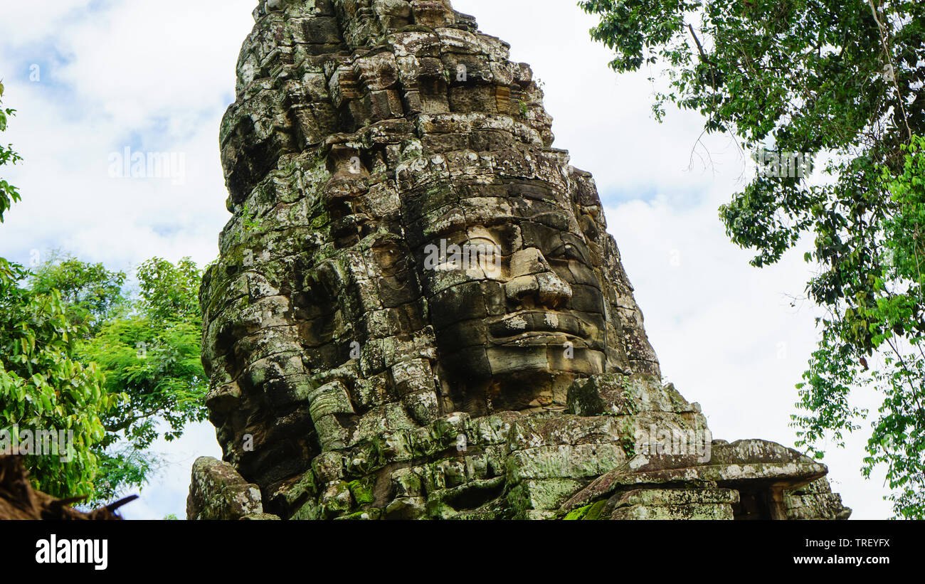 Historische Buddha Kopf und Gesicht geschossen von niedrigen Winkel mit dem Dschungel rund um die antike Statue in einem der zerstörten Tempeln in Angkor Thom. (Kambodscha) Stockfoto