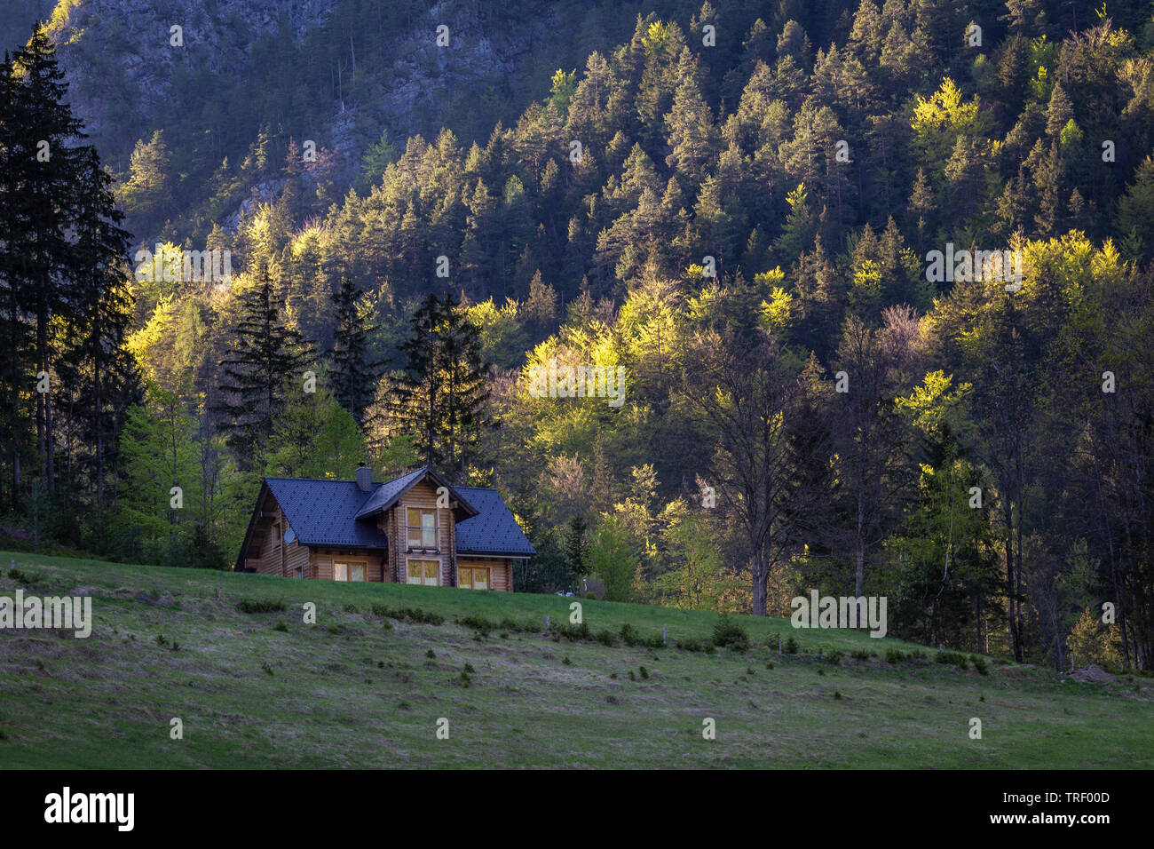 Sommer Haus im Schatten, Logarska Dolina, Slowenien. Sonnenuntergang leuchtet grün und gelb Bäume auf steilen Hänge der Hügel im Hintergrund. Ruhige ländliche Stockfoto