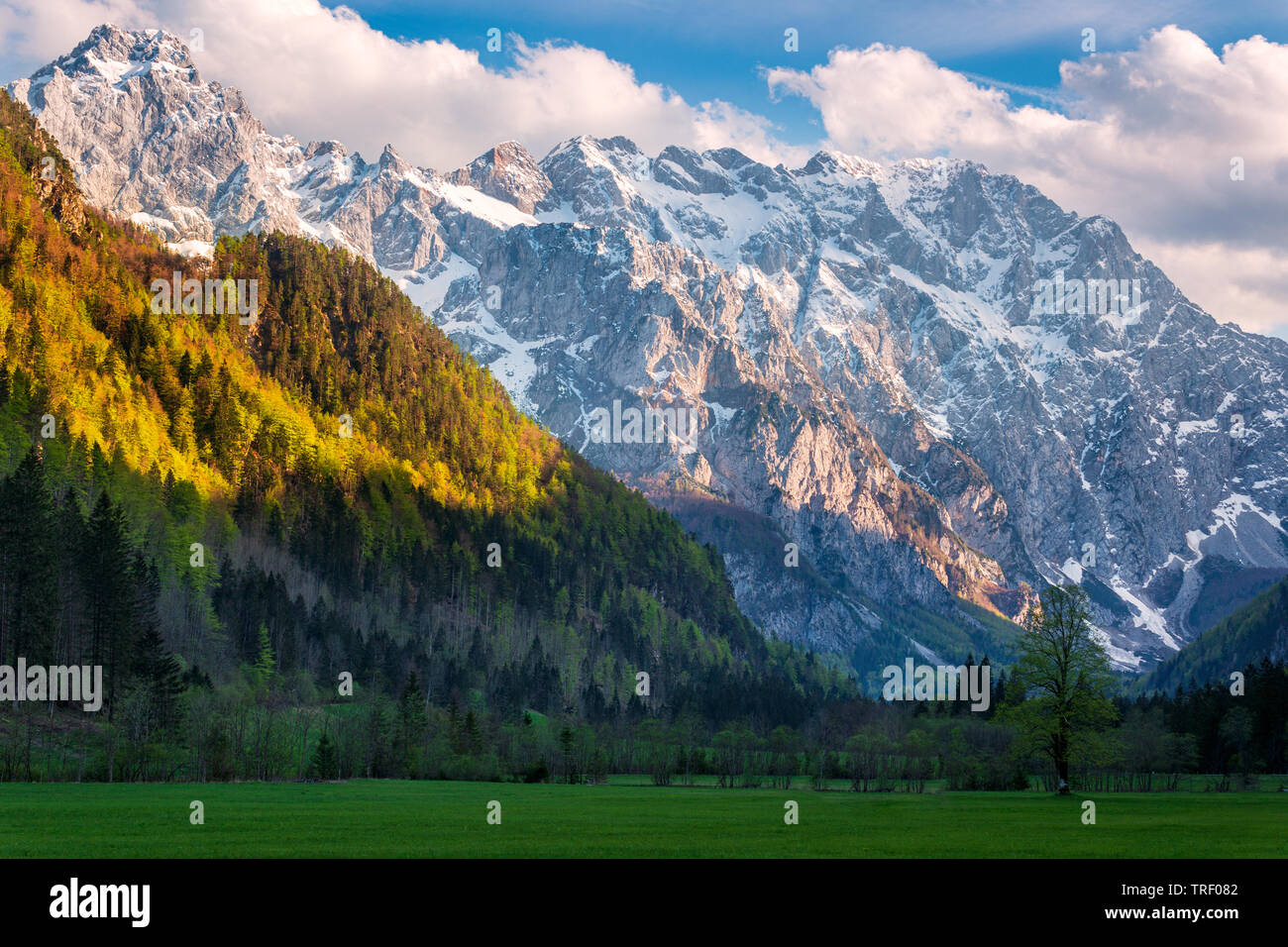Sonnenuntergang im Tal Logarska Dolina, Slowenien. Majestic späten Sonnenlicht leuchtet auf ferne Berge und Gipfel des in der Nähe von steilen Hänge der Hügel. Stockfoto
