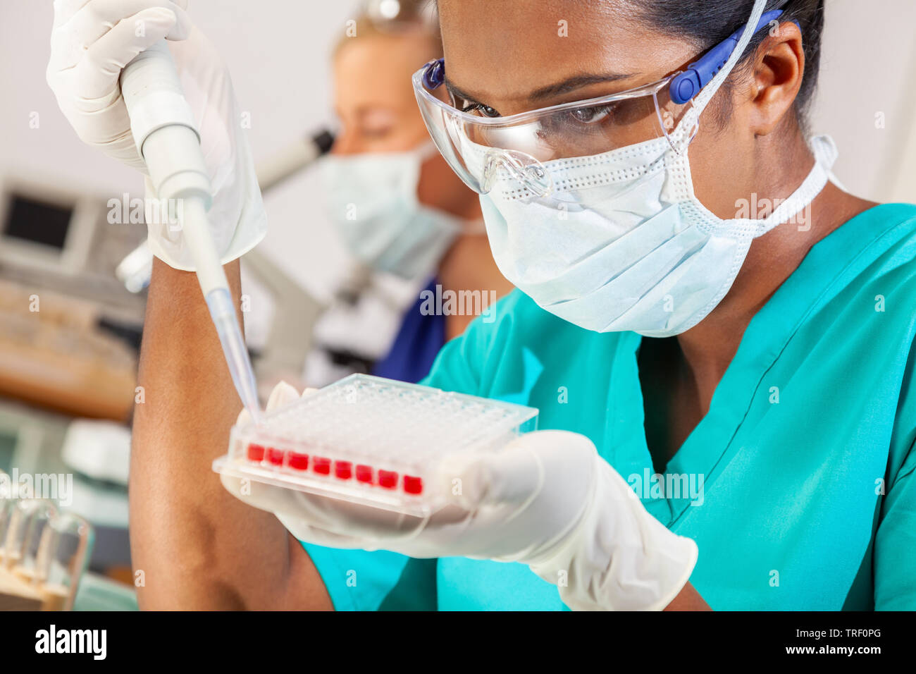 Weibliche Indische asiatische Frau Wissenschaftler oder mit einer Pipette und Sample fach Arzt für die Blutprobe in einem medizinischen Labor oder Labor Stockfoto