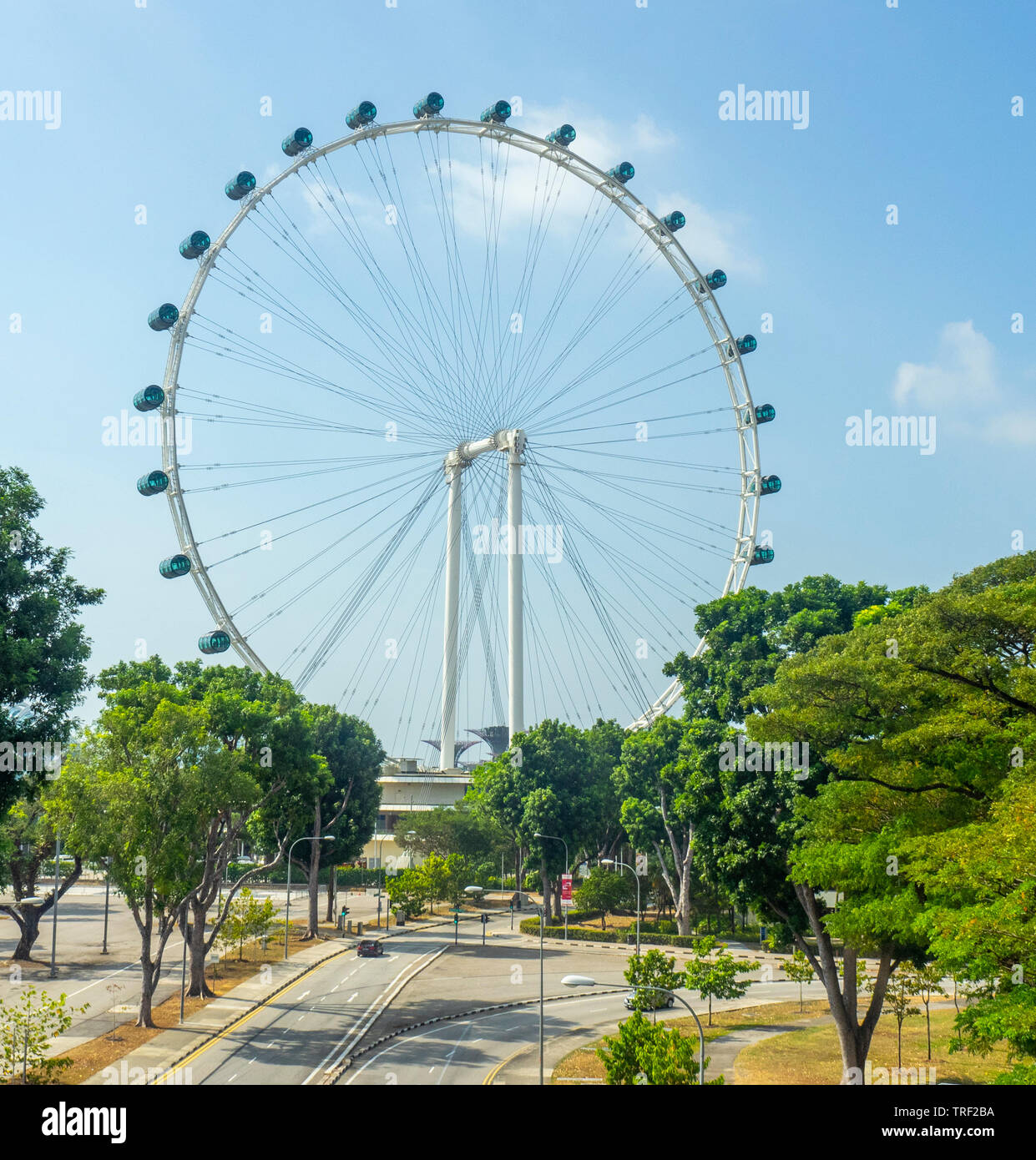 Singapore Flyer Riesenrad. Stockfoto