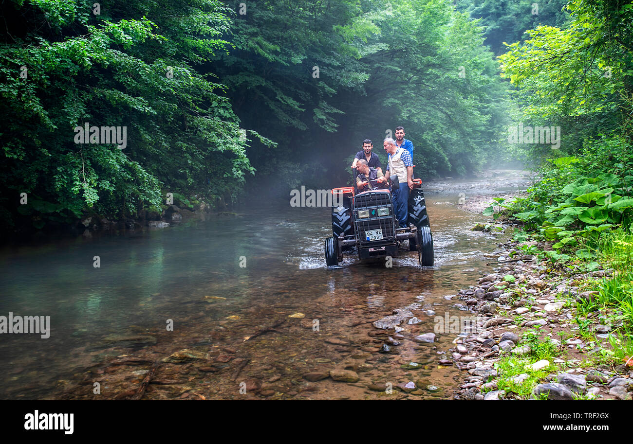 Mein Bach und Wasserfall Kocaali Sakarya Türkei Stockfoto