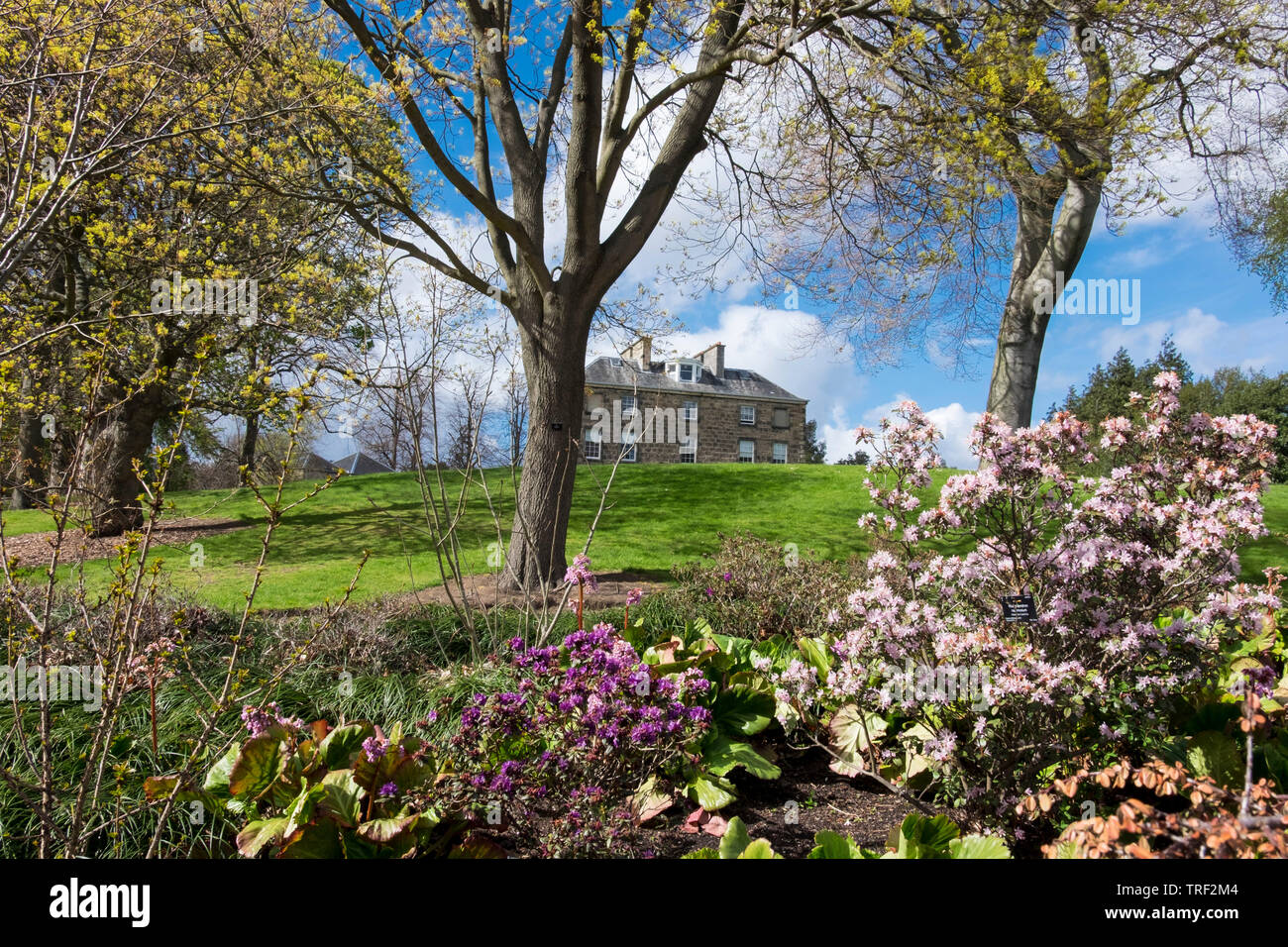 Edinburgh Royal Botanic Gardens Stockfoto