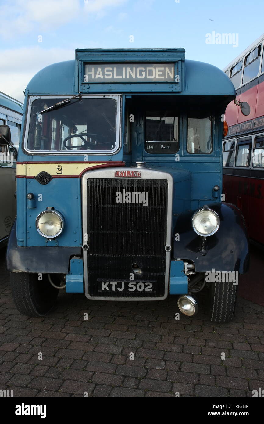 Vintage Busse in Morecambe Bay Stockfoto
