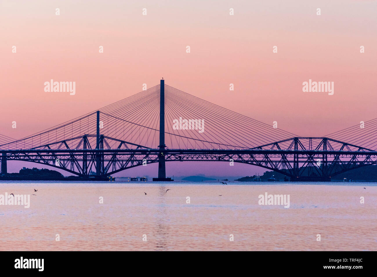 Sonnenaufgang mit den drei her Brücken in South Queensferry Stockfoto