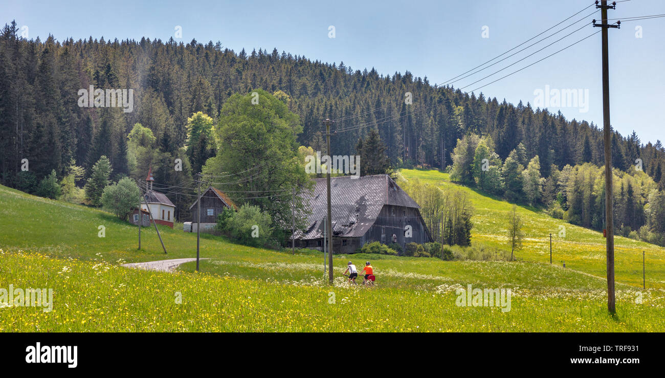 Alte Schwarzwälder Bauernhof in der Nähe von Hinterzarten, Deutschland Stockfoto