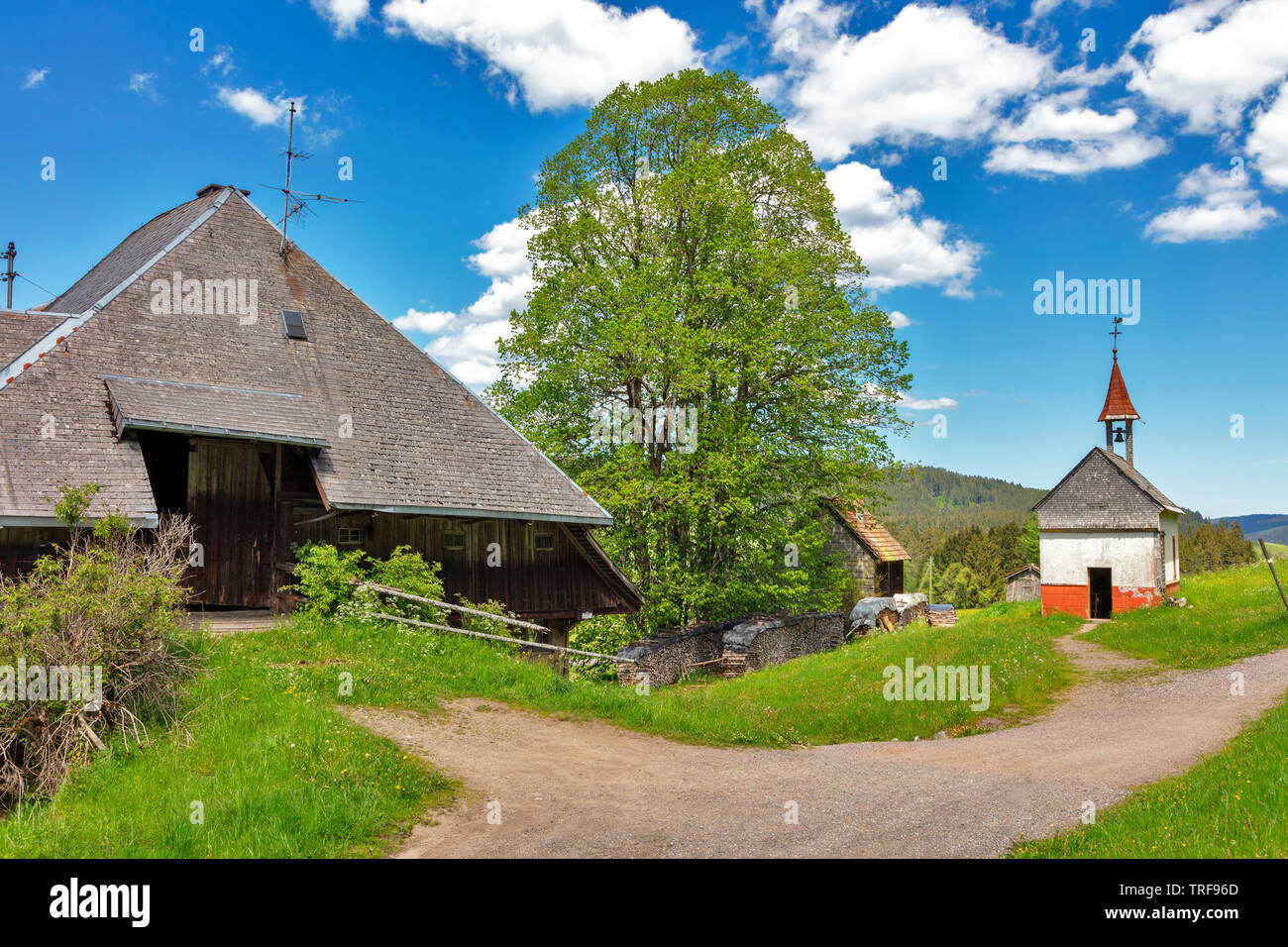Alte Schwarzwälder Bauernhof in der Nähe von Hinterzarten, Deutschland Stockfoto