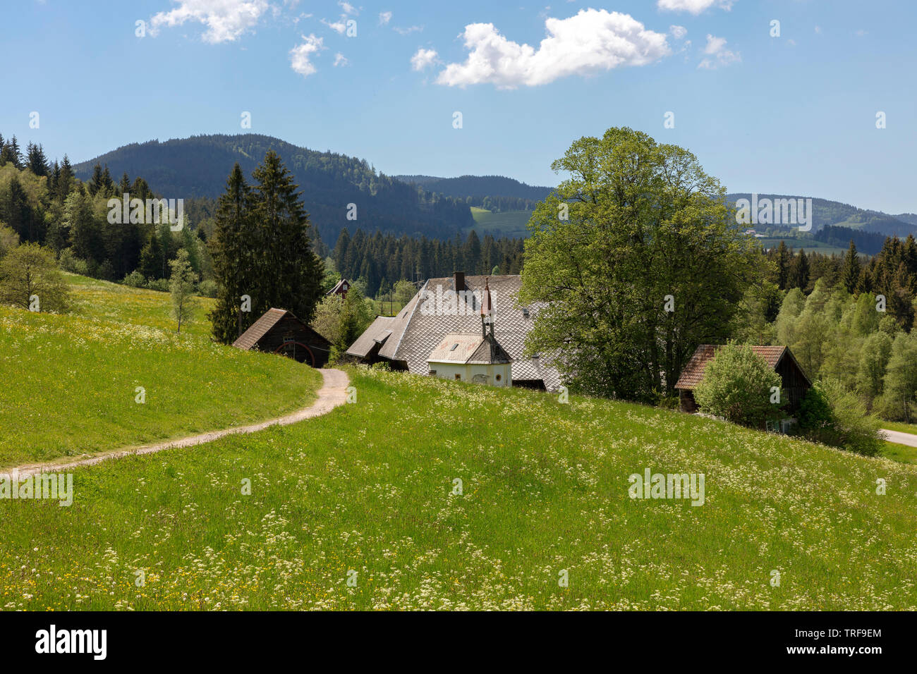 Alte Schwarzwälder Bauernhof in der Nähe von Hinterzarten, Deutschland Stockfoto